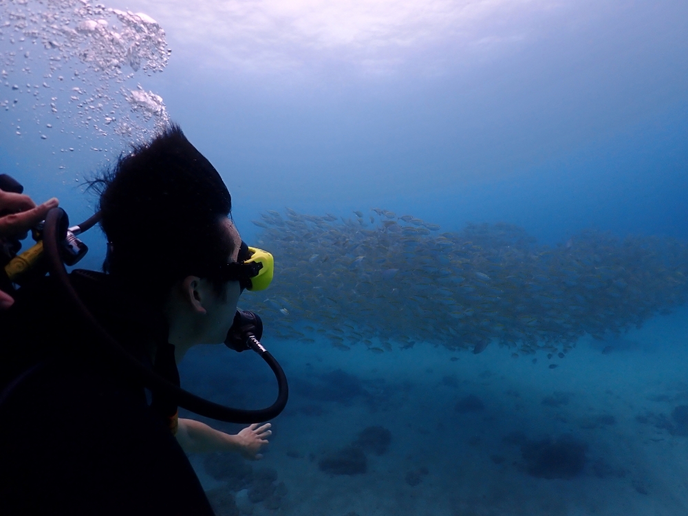 プーケットのラチャヤイ島で体験ダイビング