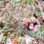 プーケットで撮ったHikaru.Kさんの写真