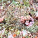 プーケットで撮ったHikaru.Kさんの写真