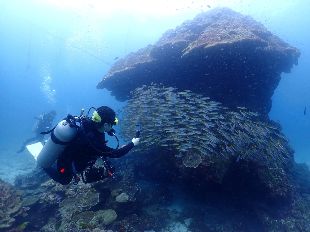 プーケットのラチャノイ島でダイビング