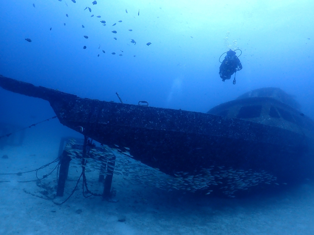 プーケットのラチャヤイ島でダイビング