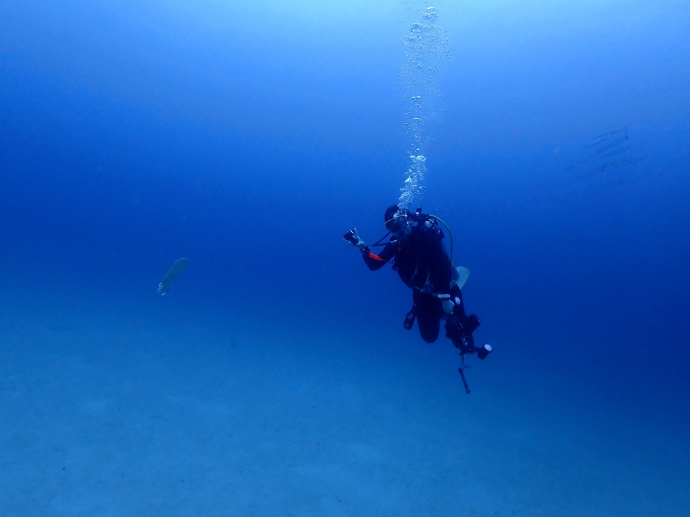 プーケットのラチャヤイ島でダイビング