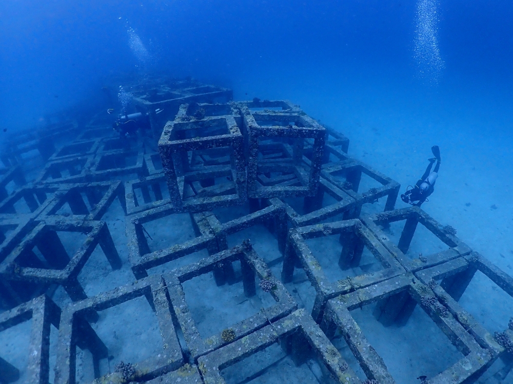 プーケットのラチャヤイ島でダイビング