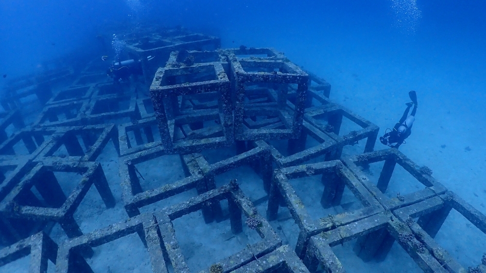 プーケットのラチャヤイ島でダイビング