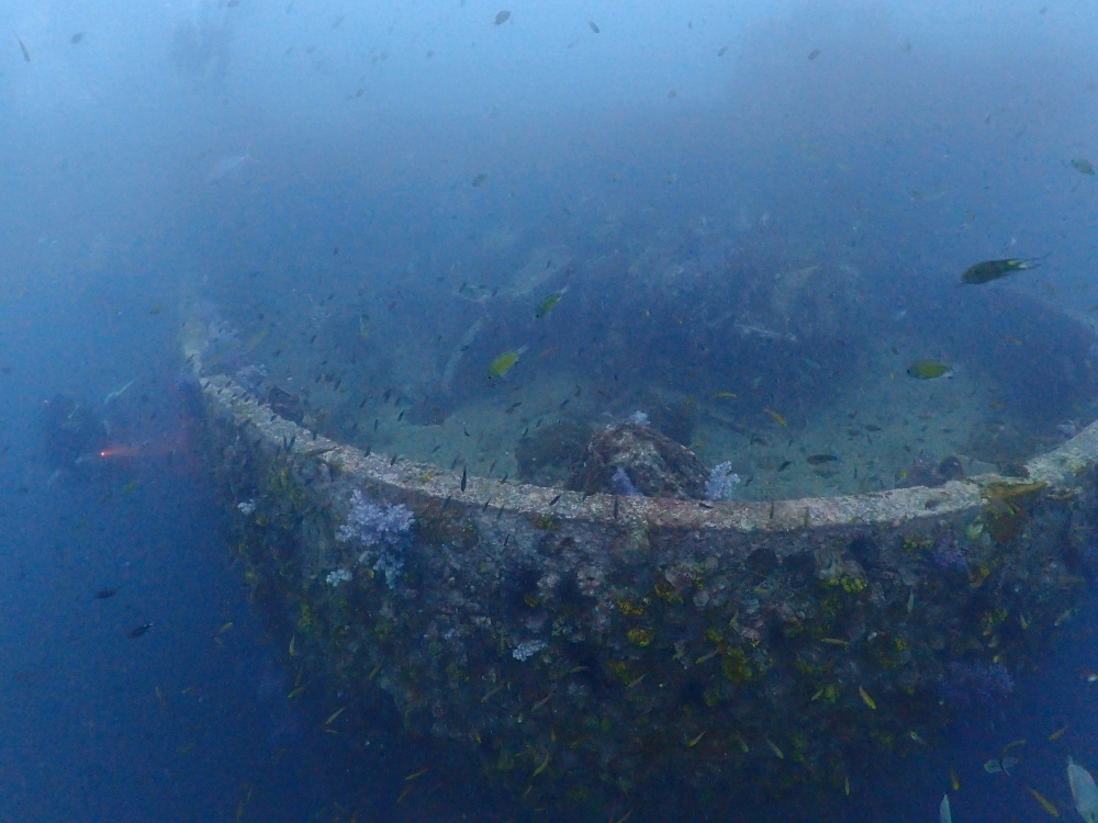 プーケットのマリンパークでダイビング