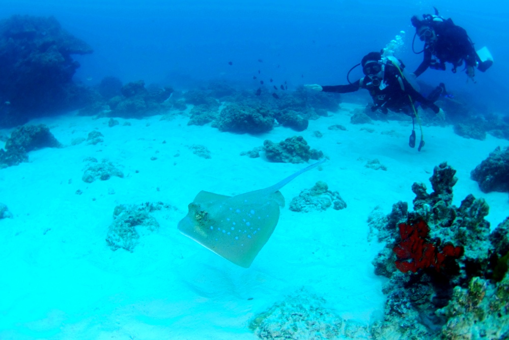 女性初心者ライセンス講習　プーケットボート