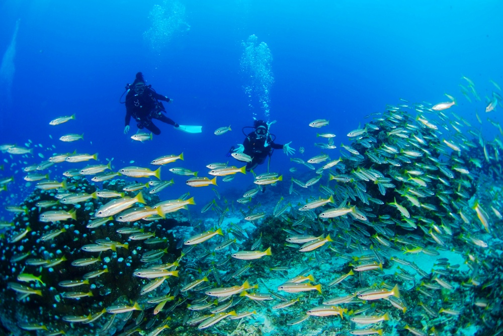 女性初心者ライセンス講習　プーケットボート