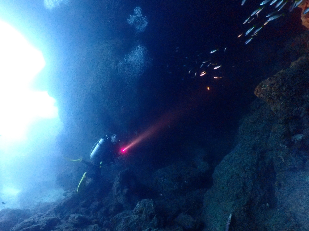 プーケットのピピ島でダイビング