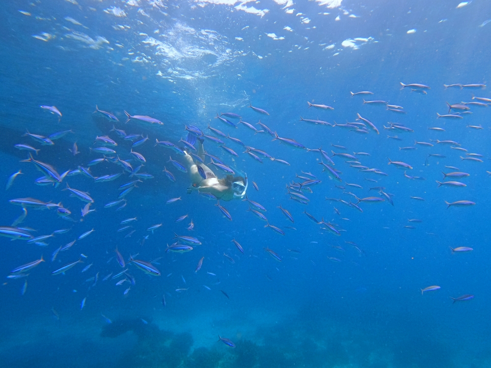 シミラン諸島でスキンダイビング