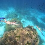 シミラン諸島でスキンダイビング