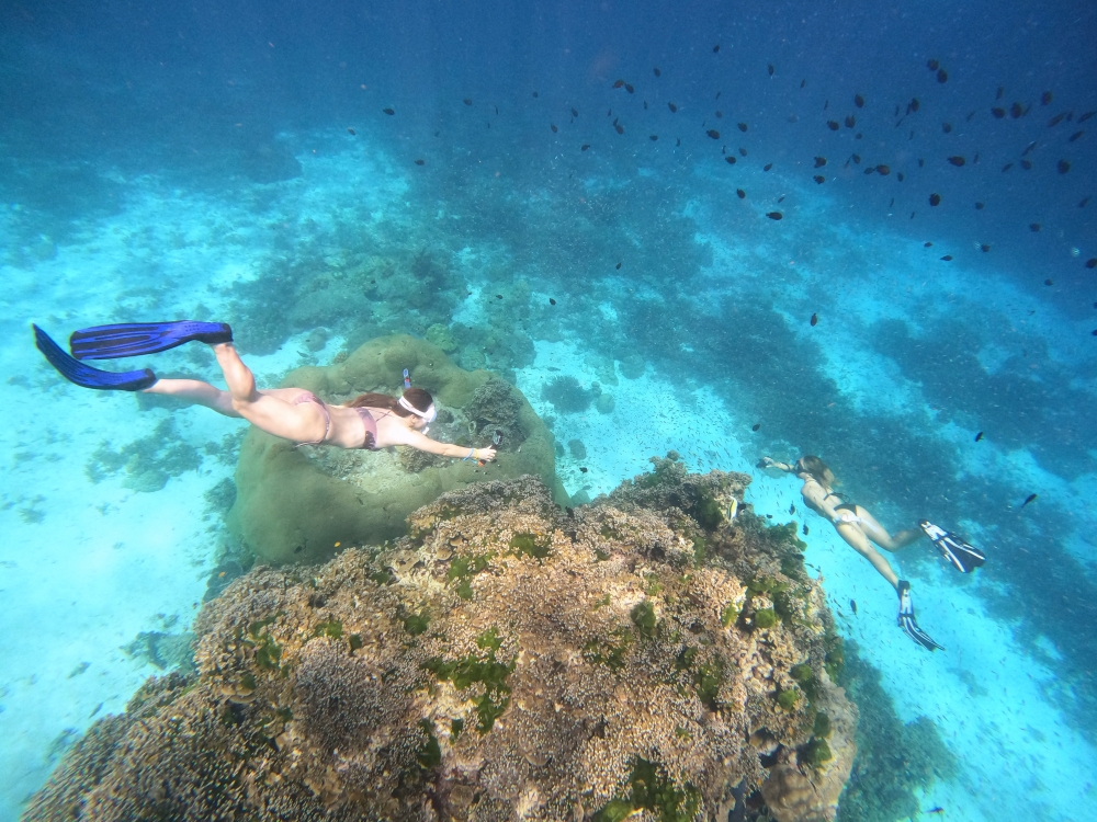 シミラン諸島でスキンダイビング
