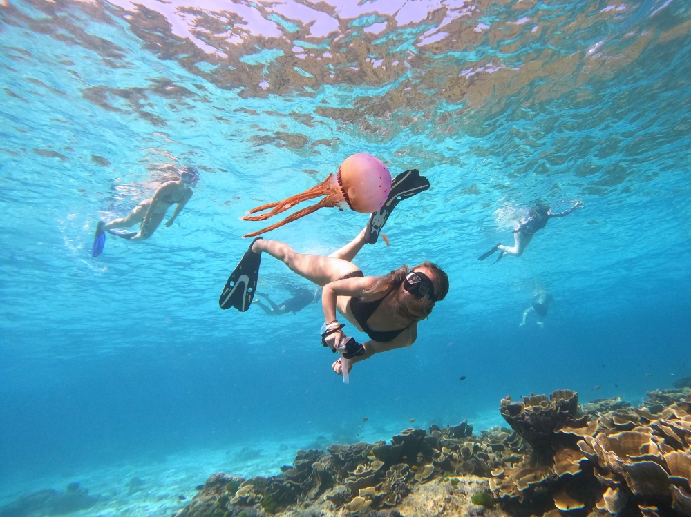 シミラン諸島でスキンダイビング