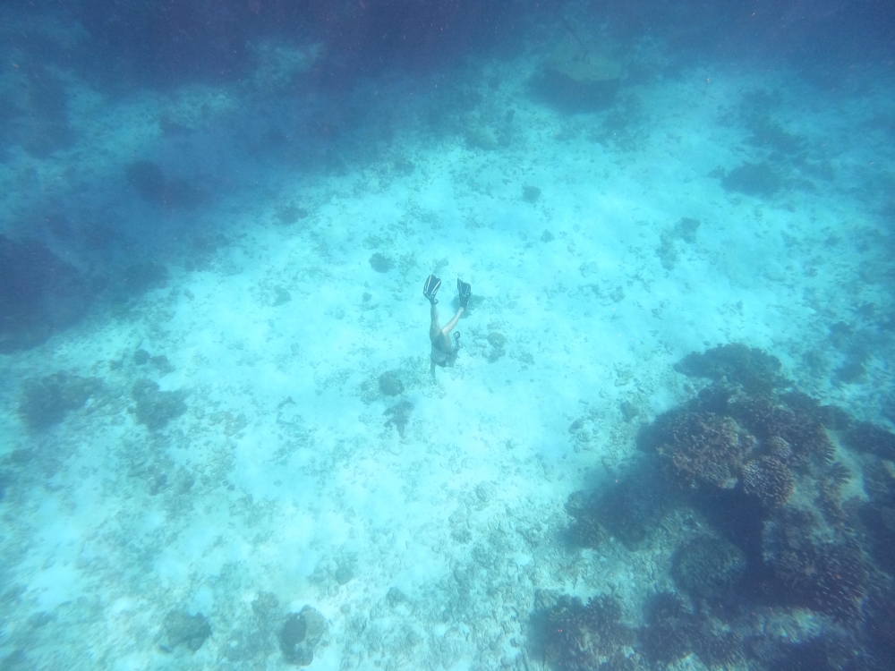 シミラン諸島でスキンダイビング