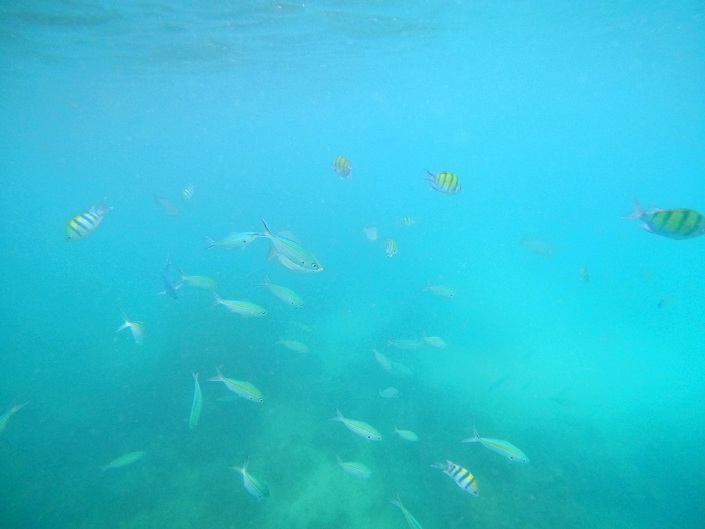 プーケットのバナナビーチでシュノーケリング