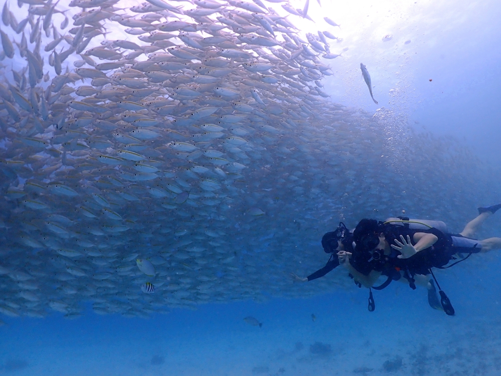 プーケットのラチャヤイ島で体験ダイビング