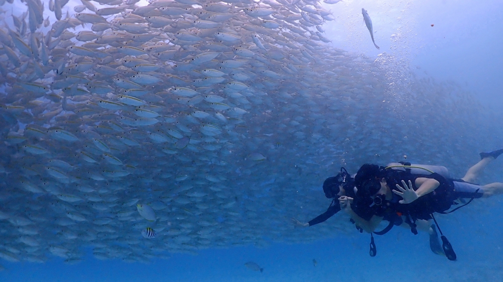 プーケットのラチャヤイ島で体験ダイビング