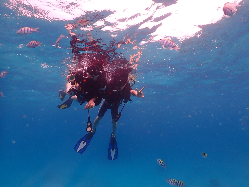 プーケットのラチャヤイ島で体験ダイビング