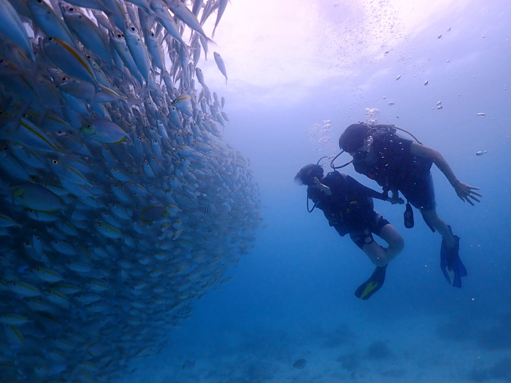 プーケットのラチャヤイ島で体験ダイビング