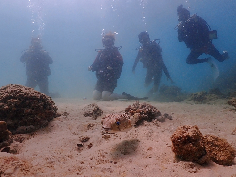カタビーチで半日体験ダイビング