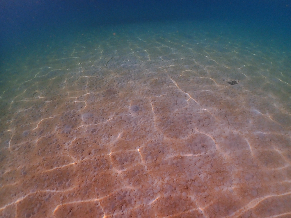 プーケットのカタビーチでファンダイビング