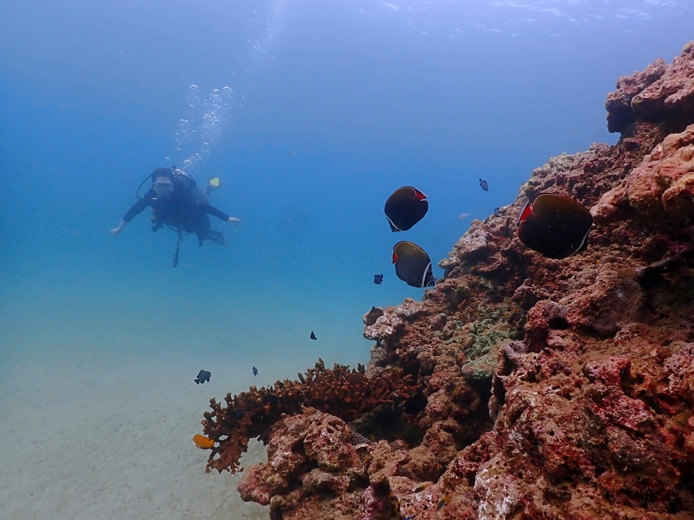 プーケットのカタビーチでファンダイビング