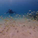 プーケットのカタビーチでファンダイビング