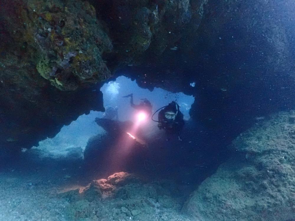 プーケットのピピ島でファンダイビング