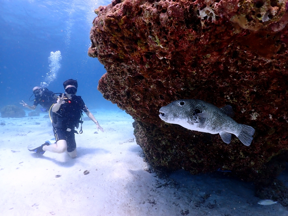 プーケットのラチャ島で体験ダイビング