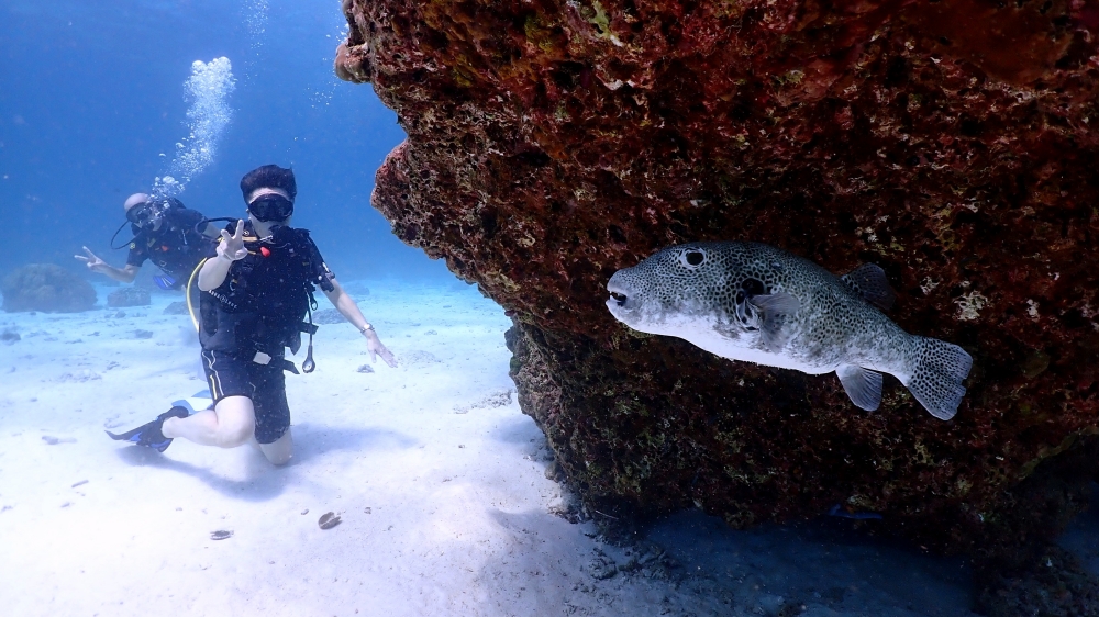 プーケットのラチャ島で体験ダイビング
