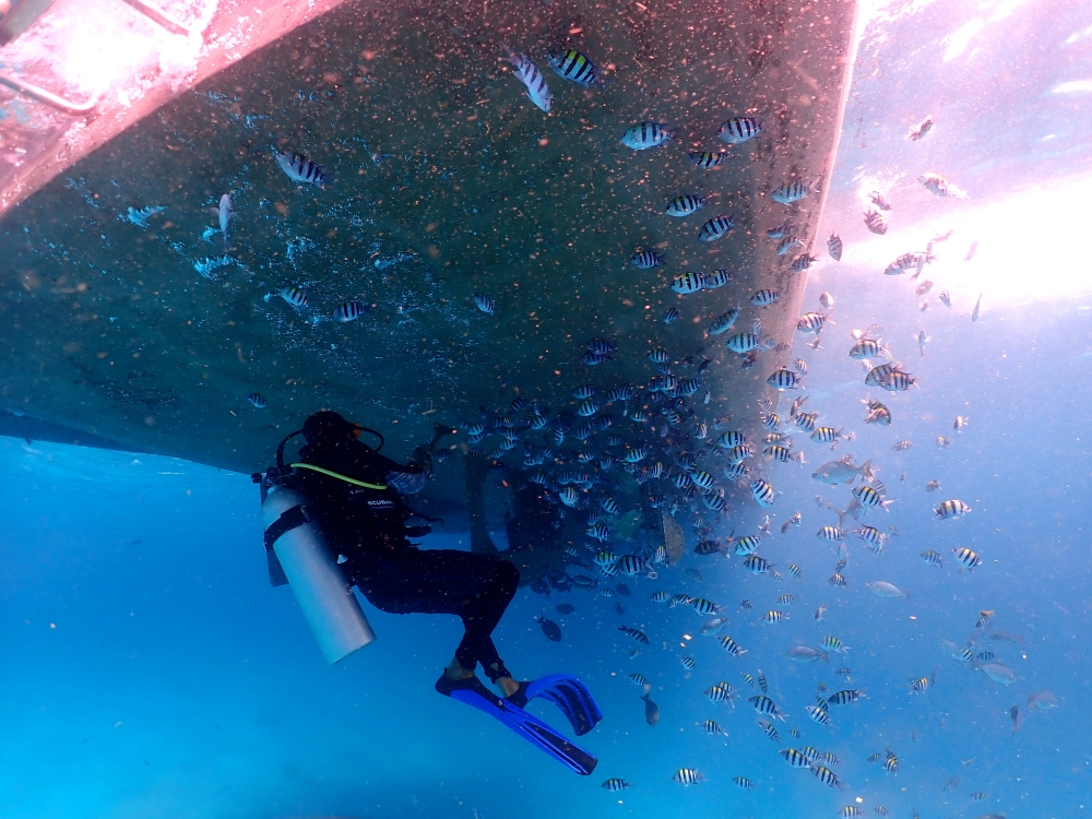 プーケットのラチャ島で体験ダイビング