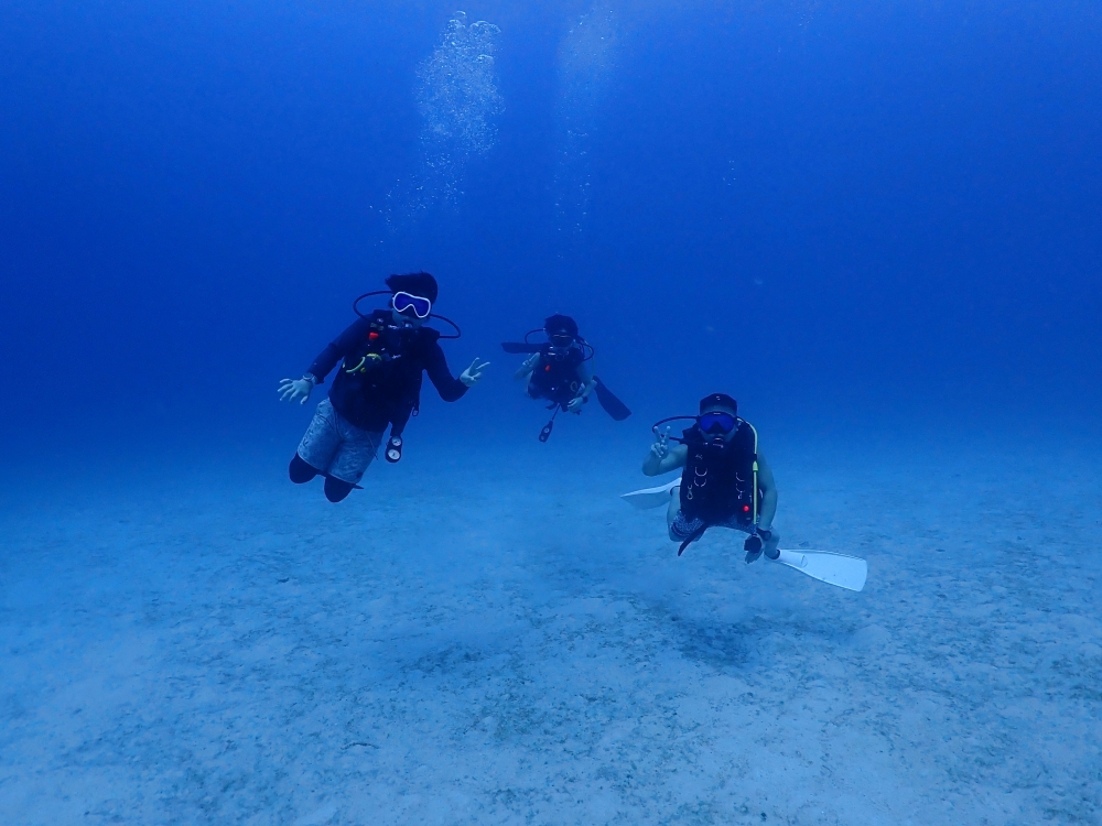 シミランクルーズでダイビング