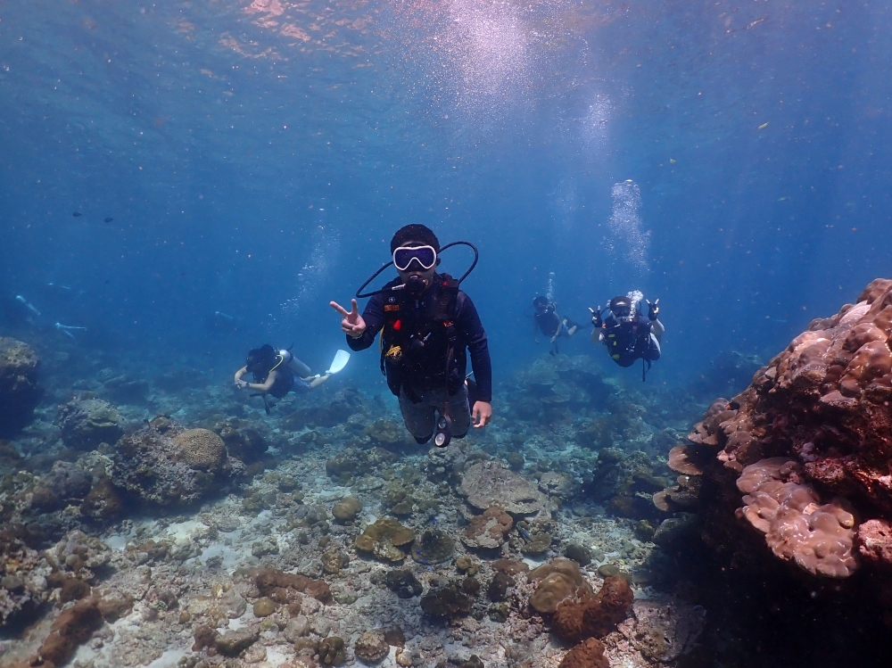 プーケットのピピ島でダイビング