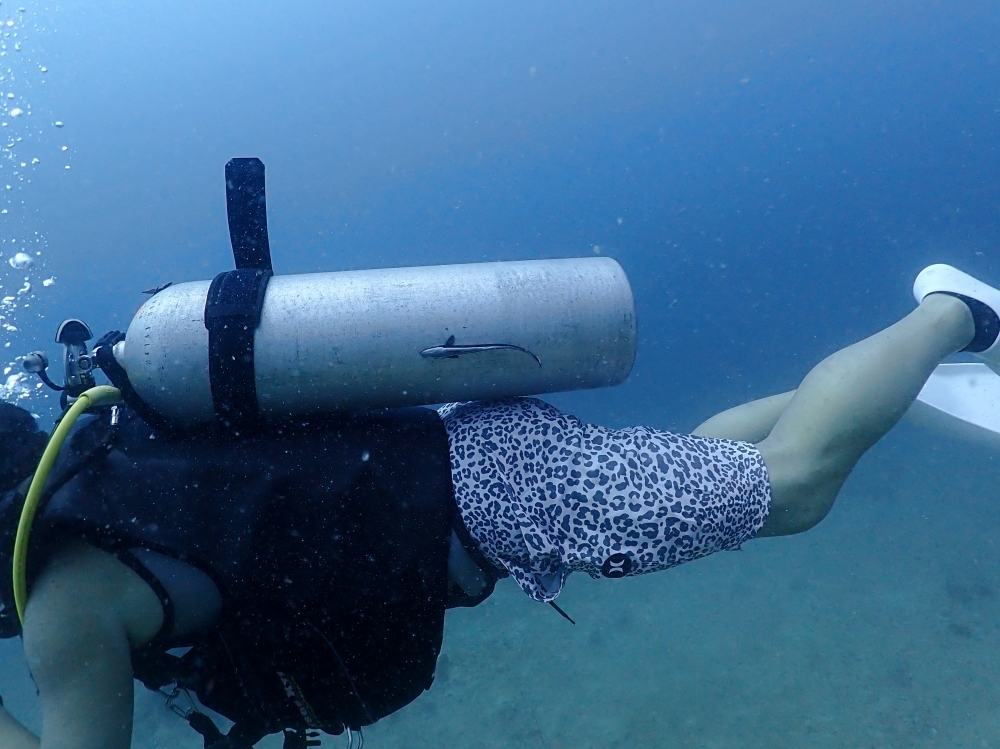 プーケットのマリンパークでダイビング