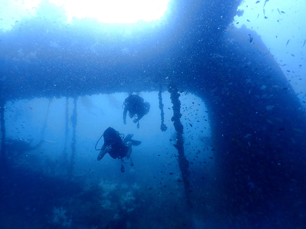 プーケットのマリンパークでダイビング