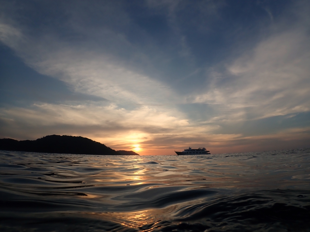 シミランクルーズでダイビング