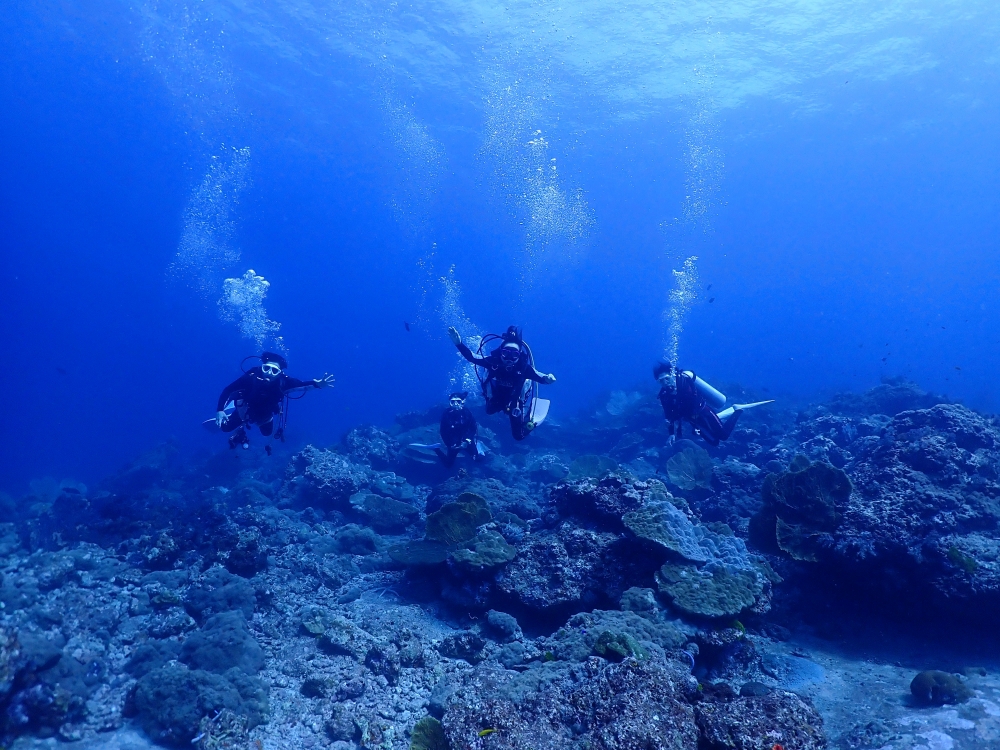 シミランクルーズでダイビング