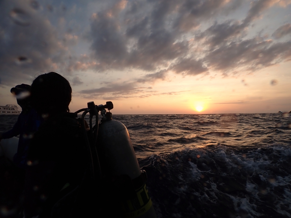 シミランクルーズでダイビング