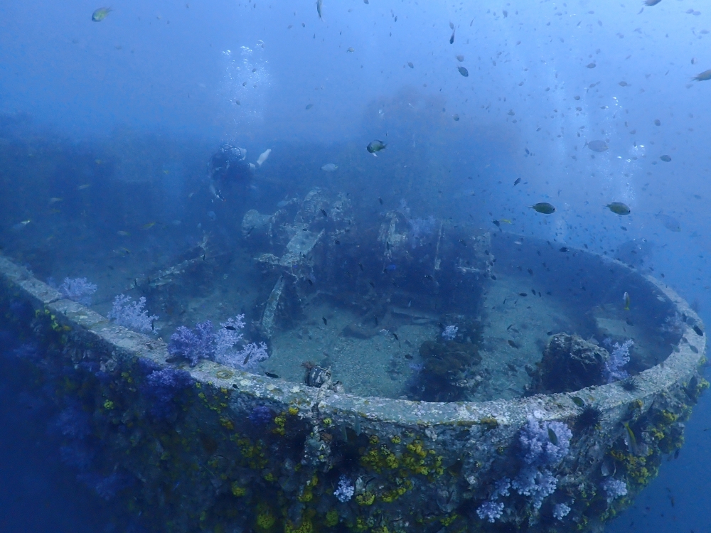プーケットのマリンパークでダイビング