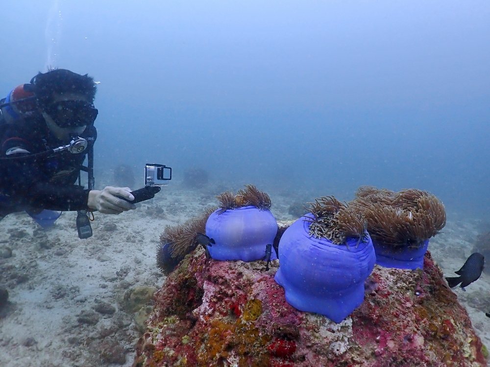 プーケットのラチャ島でダイビング