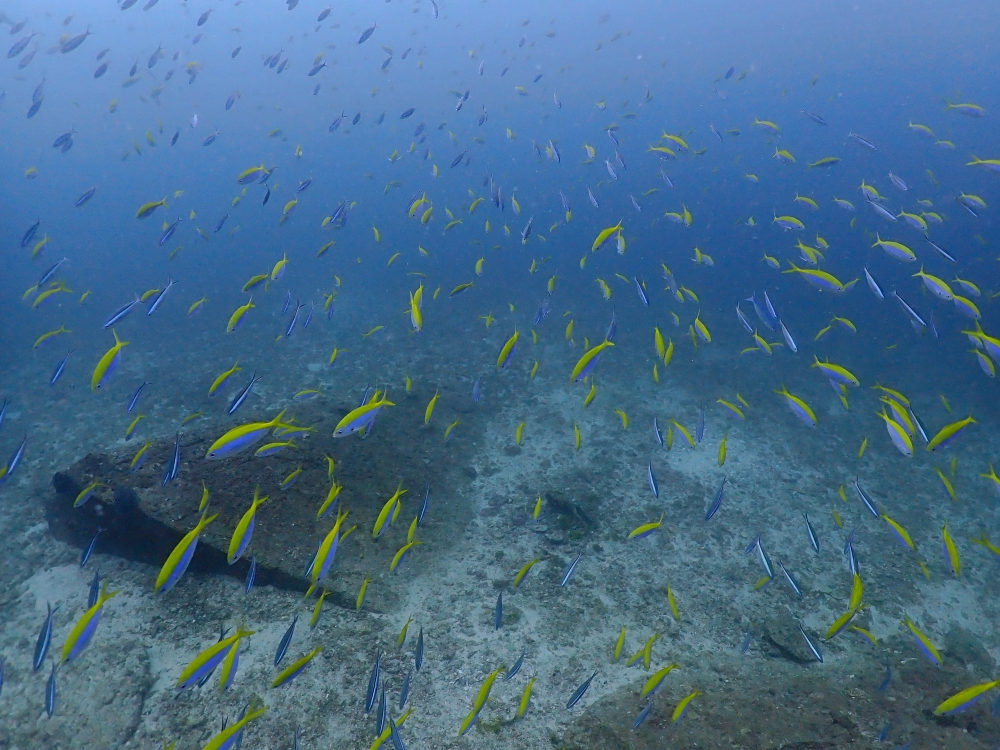 プーケットのラチャ島でダイビング