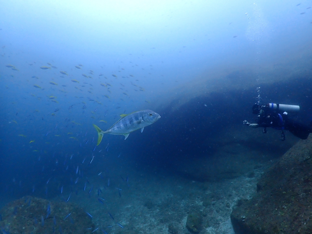 プーケットのラチャ島でダイビング