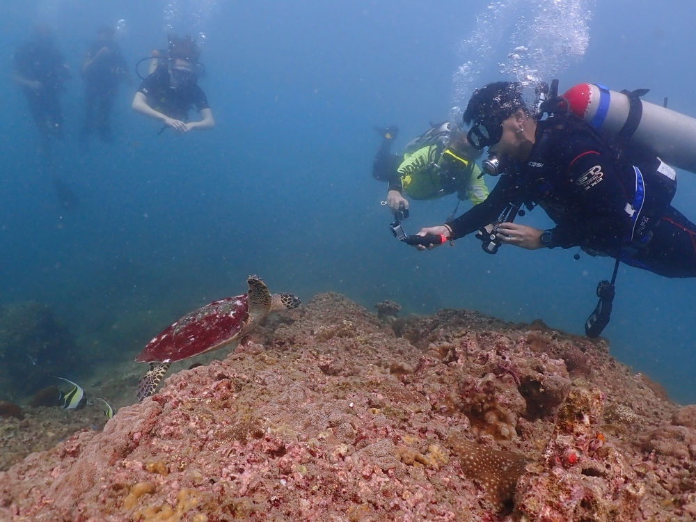 プーケットのピピ島でダイビング
