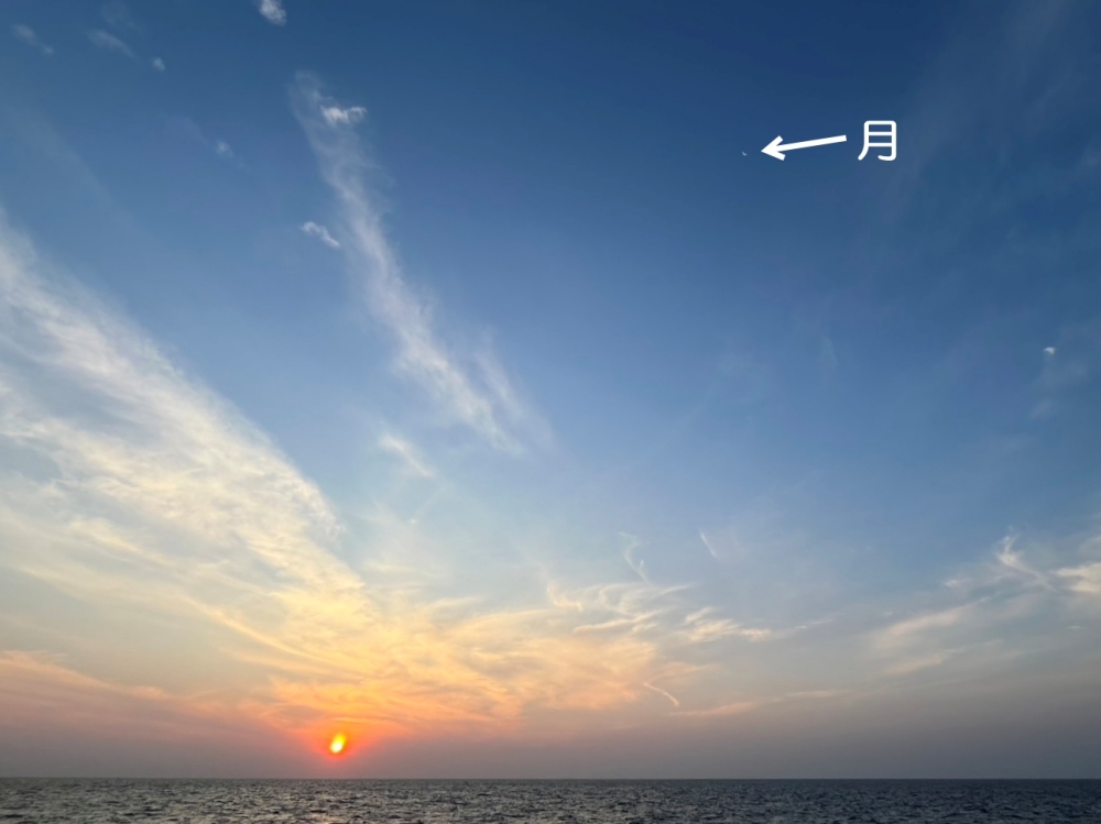 ビッグブルーカオラックでシミランクルーズダイビング