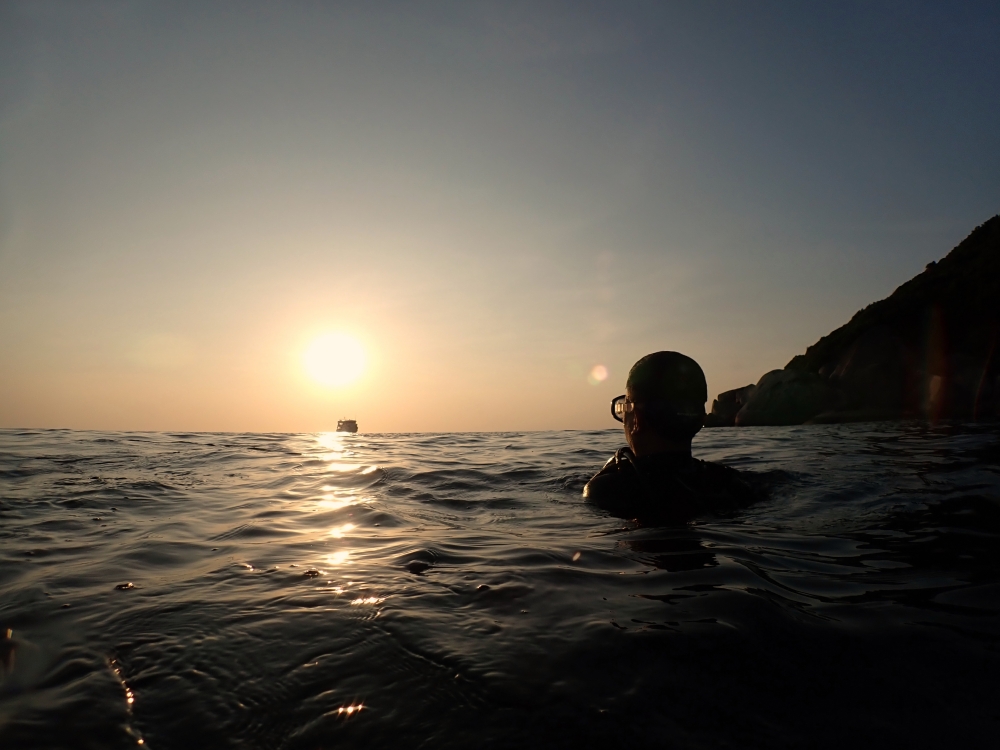 シミランクルーズでダイビング