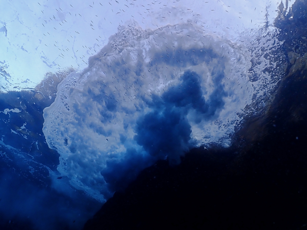 シミランクルーズでダイビング