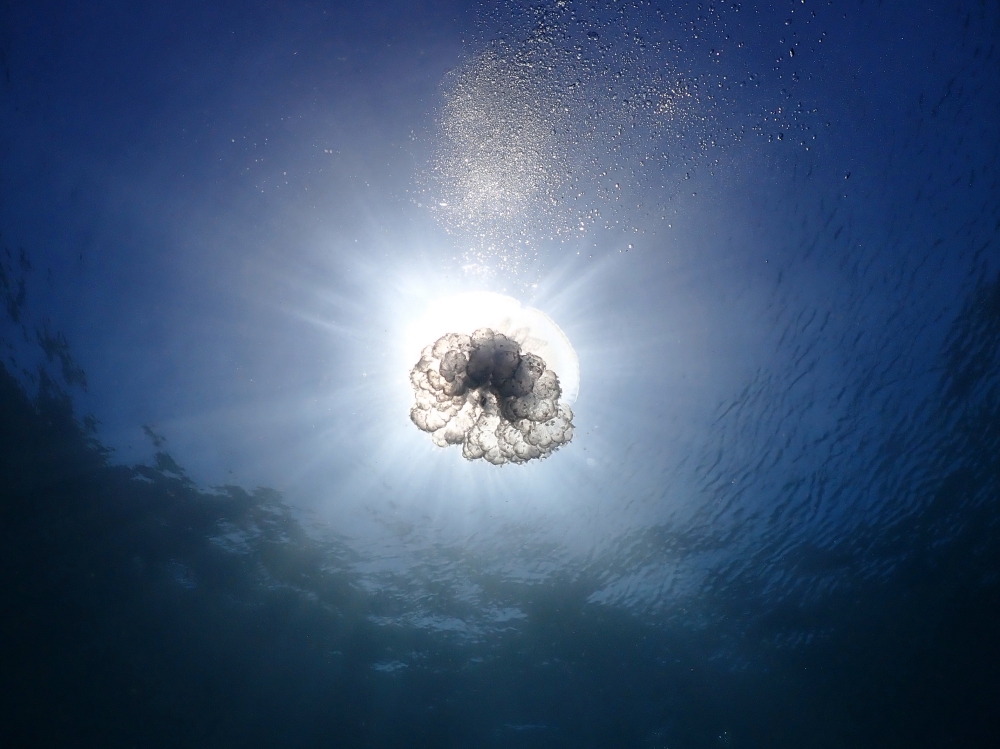 プーケットのラチャ島でダイビング