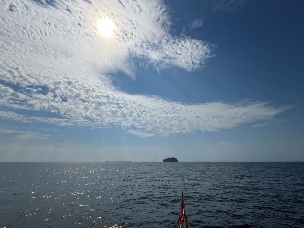 プーケットのマリンパークでダイビング