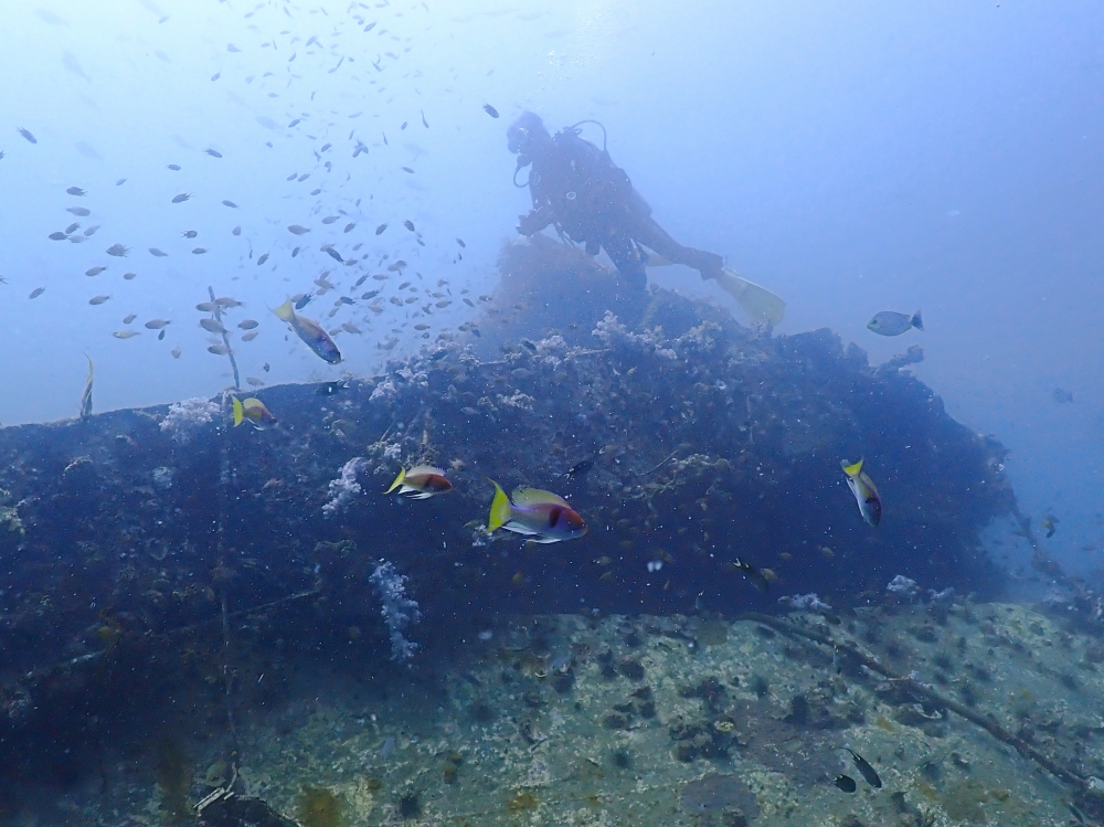 プーケットのマリンパークでダイビング