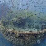 プーケットのマリンパークでダイビング