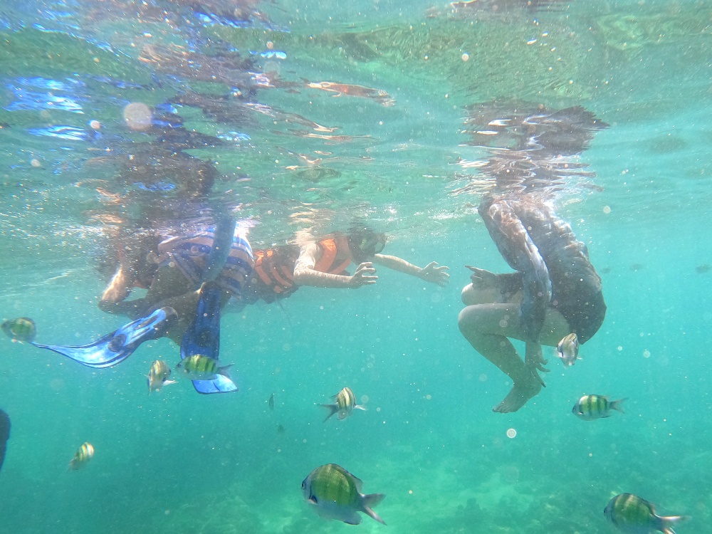 ピピ島チャーターボートツアー